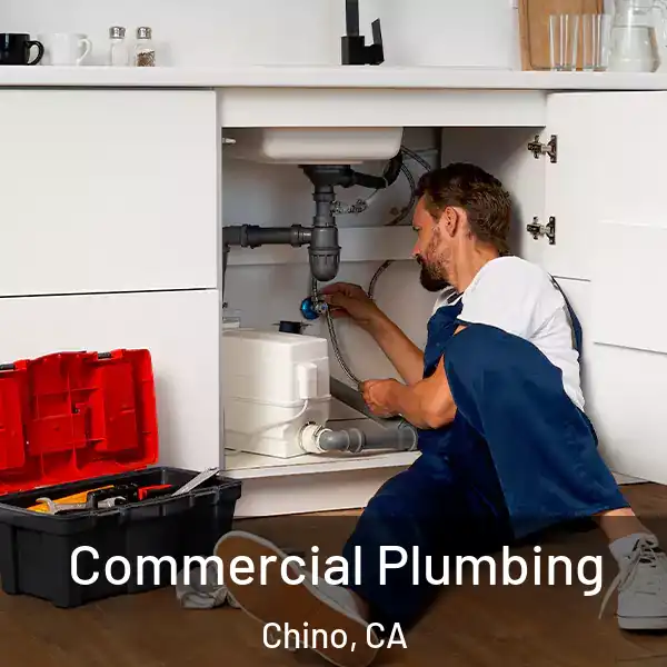  Commercial Plumbing Chino, CA