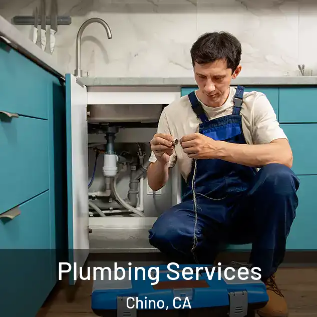  Plumbing Services Chino, CA
